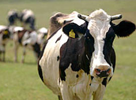 Küresel ısınmanın sebebi bulundu