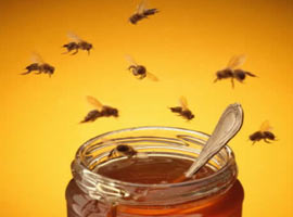 'Yunan arıları balımızı çalıyor'