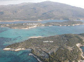 Türk adasına Yunanlılar talip