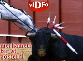 İnsan olan bunu yapar mı? - Video