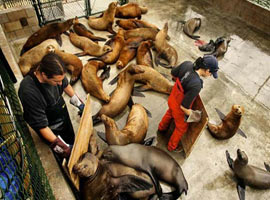 Dünya'nın en iyi BASIN fotoğrafları