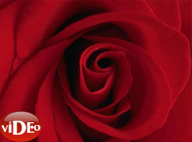 Bu klip çok konuşulacak - Video