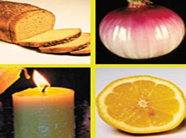 Hayatımızın PRATİK BİLGİLERİ