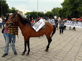 ÖSS'ye atlı protesto