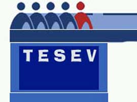 TESEV'den milliyetçilik uyarısı