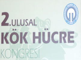 Kök hücre yine veto yedi