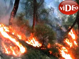 Ciğerlerimiz yanıyor - Video