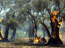 Yangın kontrol edilmek üzere