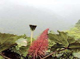 Dünya'da hala el değmemiş yerler var