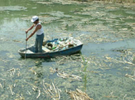 Mogan gölündeki balıklar ölüyor
