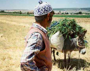 Köy yaşam standartına AB desteği