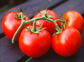 Aşırı sıcaklar domates fiyatlarını artırdı  