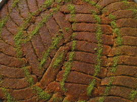 Diyarbakır kadayıfları markalaşıyor