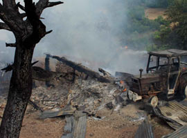 Orman ile birlikte 9 ev de yandı