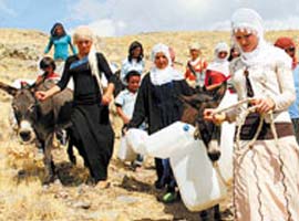 Fransız gelin eşekle su taşıyor 