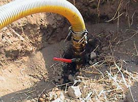 BTC’nin bir ucu 'çiftlikten' çıktı