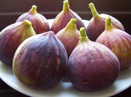 Faydası saymakla bitmiyor