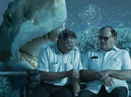 Ya şehriniz su altında olsaydı... - Foto