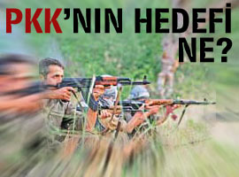 PKK eylemlerini neden artırıyor?