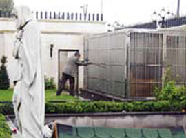 Çete'nin aslanları Hayvanat bahçesine