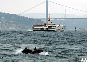 Boğazın güzel misafirleri