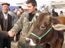 Kurbanlık fiyatları belli oldu