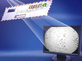 E-posta okul boşalttırdı