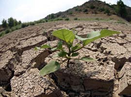 Kuraklık en fazla Ege'yi vurdu