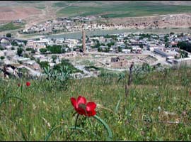 AB’ye girecek belde aranıyor