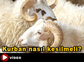 Kurban nasıl kesilir? - Video