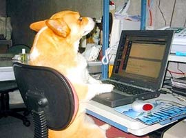 Bilişim sınır tanımıyor