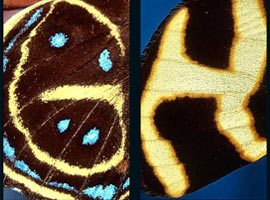 Bu fotoğraflara hayran kalacaksınız!