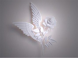 Kampanya çığ gibi büyüyor