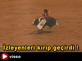 Bu da rodeocu maymun! - Video