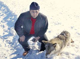 Soğuktan donan kurt ayakta öldü-Foto