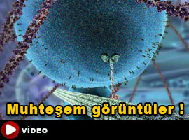 Hücredeki müthiş işleyiş! - Video