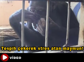 Tespih çekerek stres atan maymun-İzle