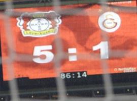 Aslan hezimeti yaşadı