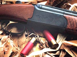 Cinnet getiren baba dehşet saçtı