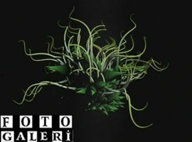 İşte bilgisayarınızın en büyük başbelası!