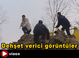 Pompalı tüfekle saldırı - VİDEO