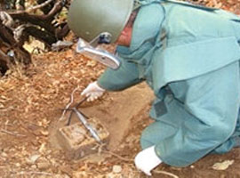 5 hain tuzak imha edildi