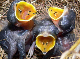 İşte en güzel internet fotoları