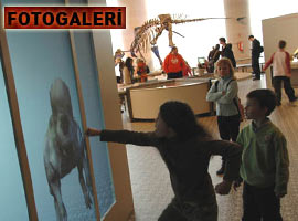 Dinozorlara layık müze ! - KARELER