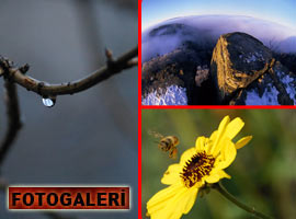 Bu fotoğraflar unutulmaz! - GALERİ