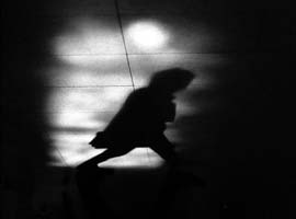 Gerçekte perdelenen ne?