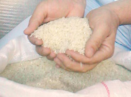 Pirinç kıtlığı mı kriz fırsatçılığı mı?