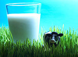 Dikkat sütte spekülatör var!  	