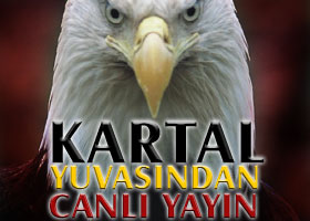 Kartal yavruları için beklenen gün