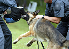 K-9'la anladığı dilden konuşuyorlar